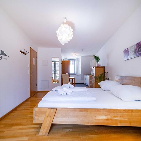 Altstadtloft Am Martinstor Φράιμπουργκ Εξωτερικό φωτογραφία